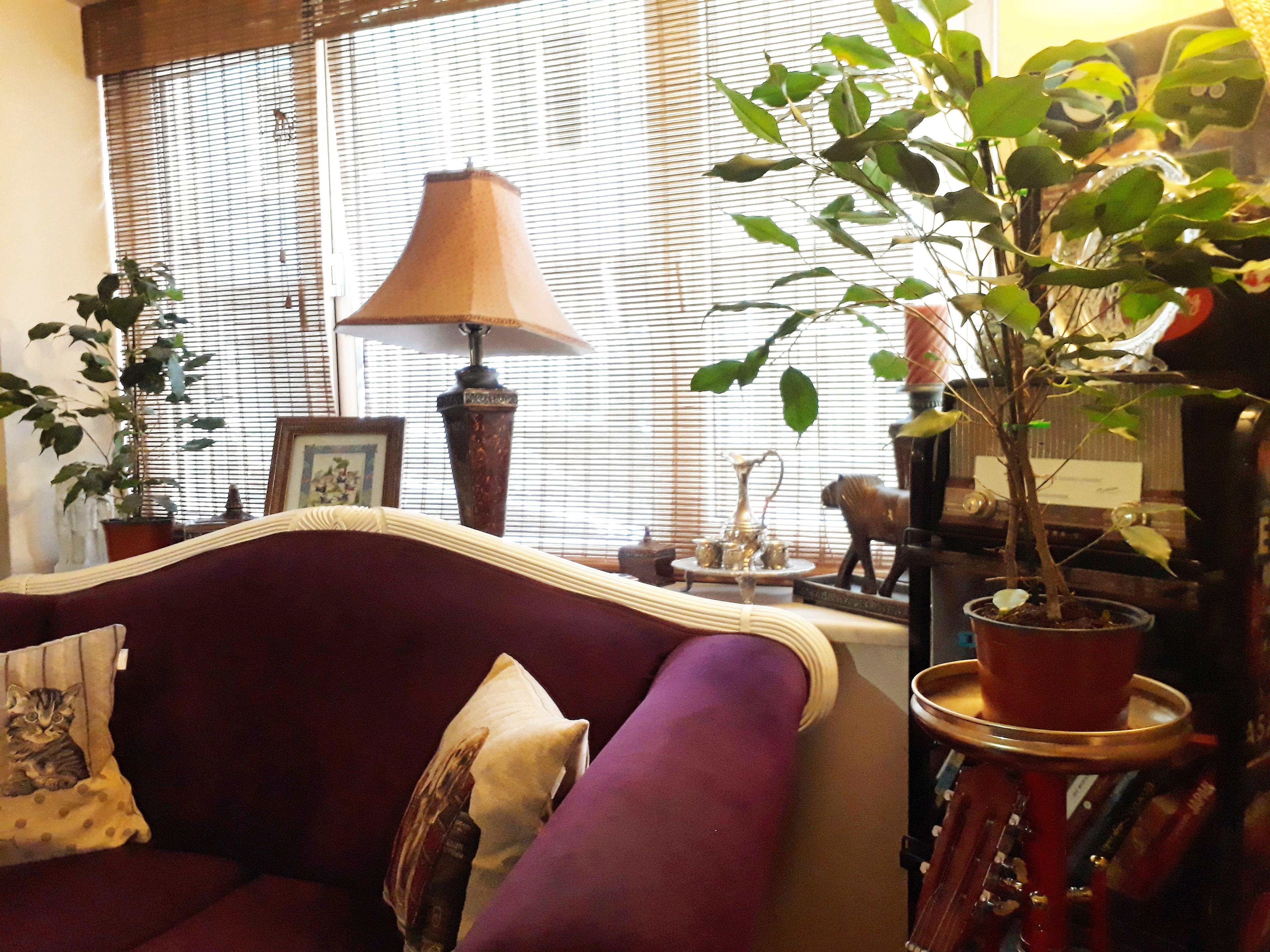 Levanten Hostel — Fotoğraflar 1
